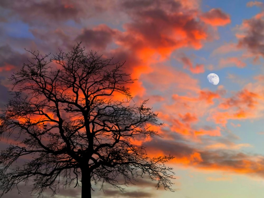 Photograph by Alen Brkić