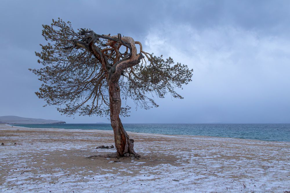 Photograph by Koledova Irina