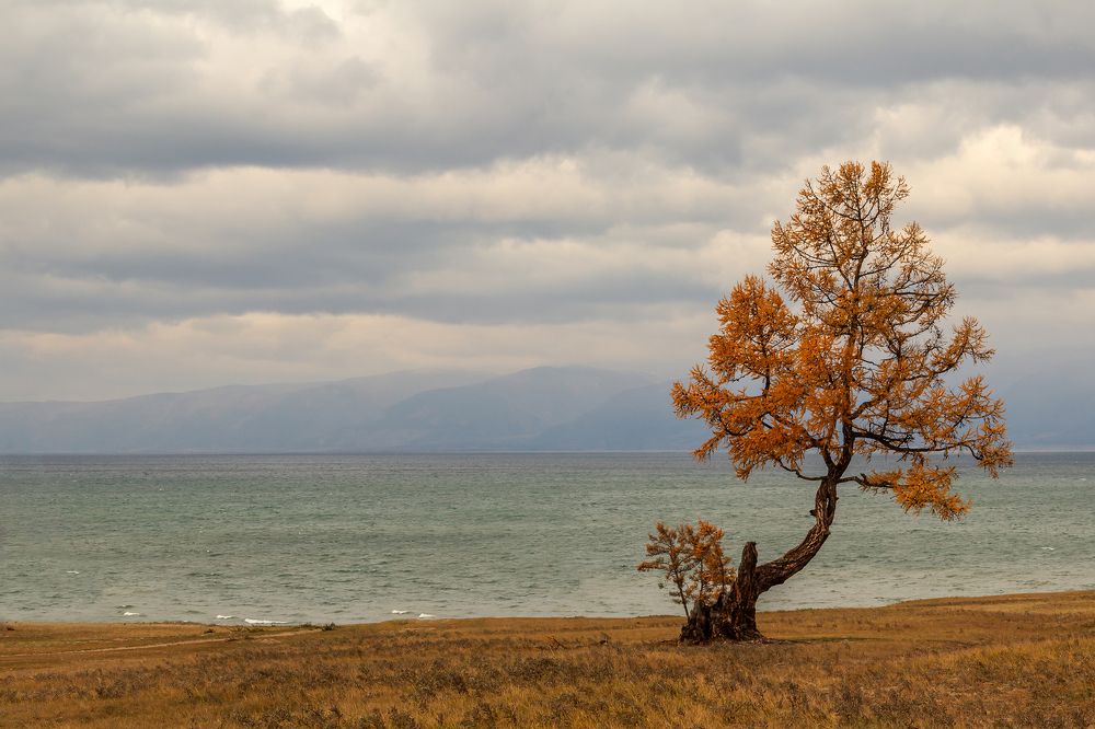 Photograph by Koledova Irina