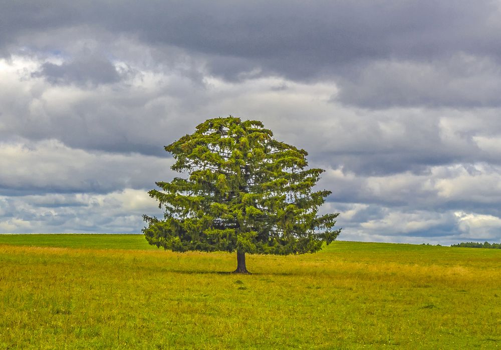 Одиночество