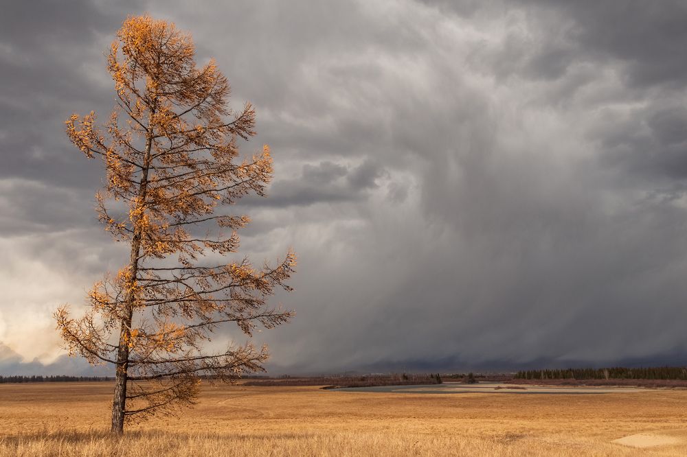 Photograph by Koledova Irina