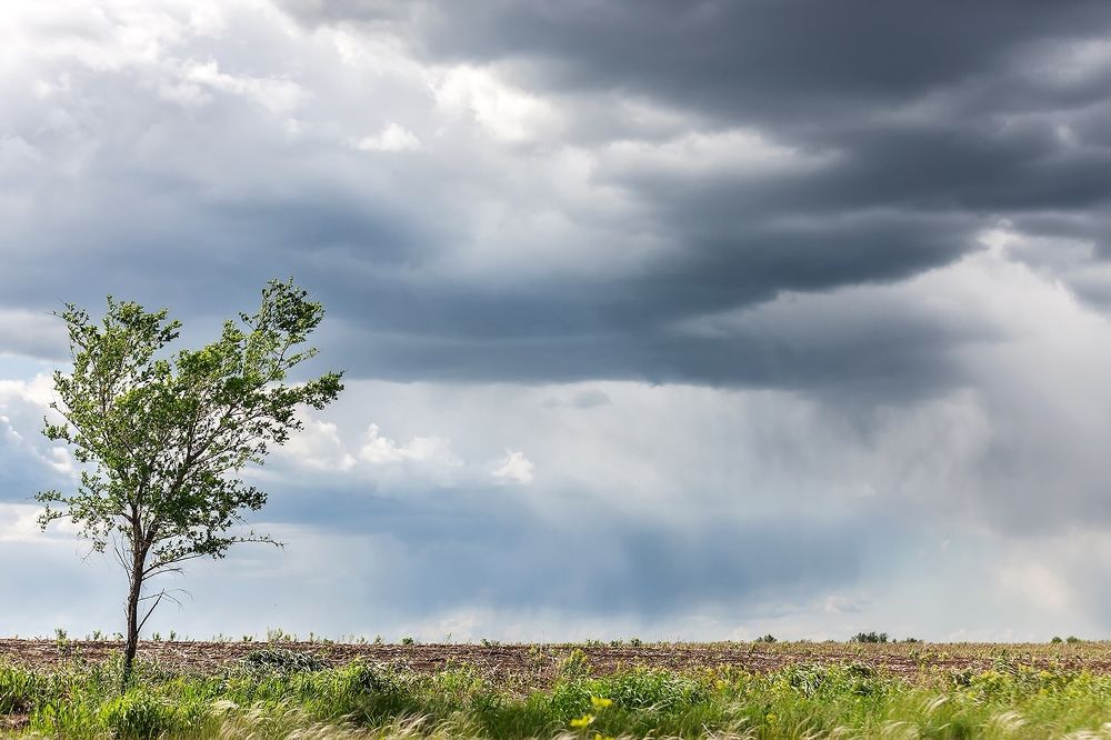 Photograph by Владимир Салапонов