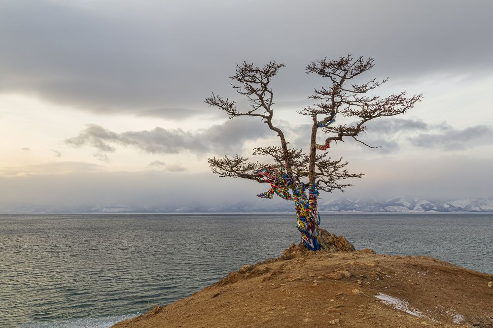 Photograph by Koledova Irina