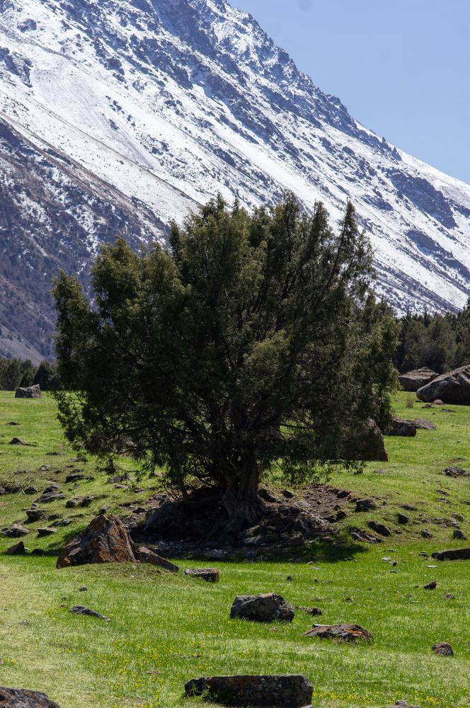 Photograph by Максим Захаров