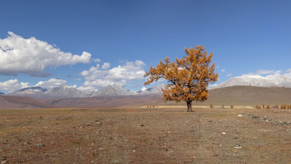 Photograph by Koledova Irina