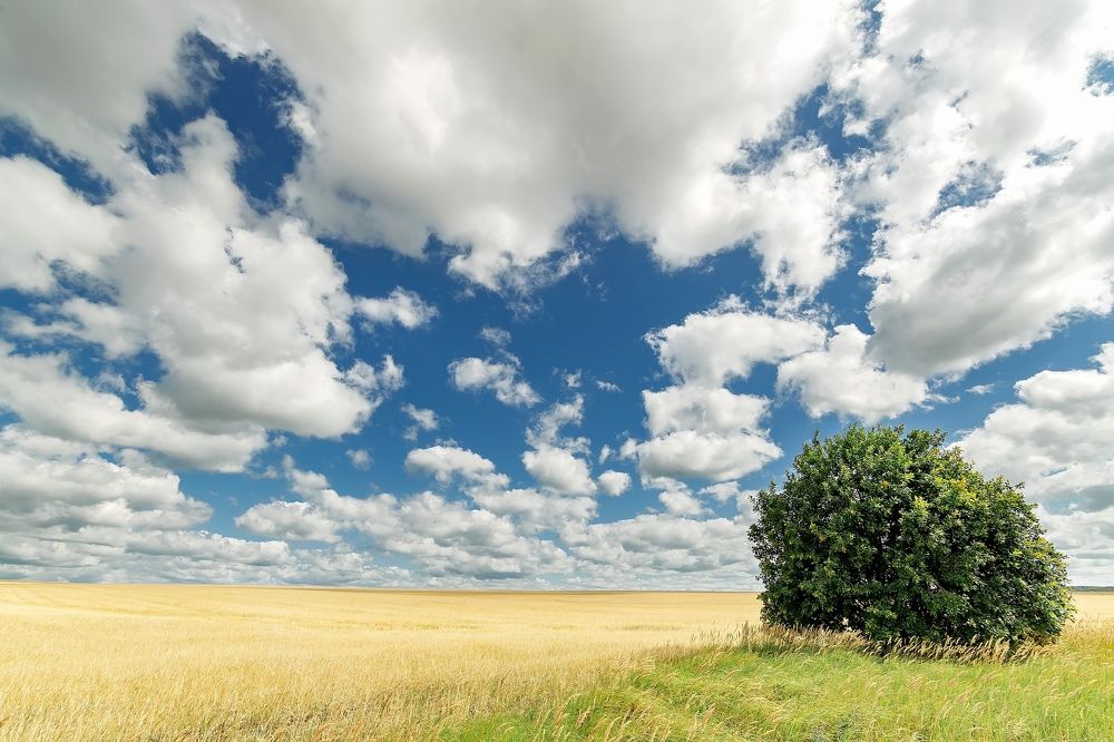 Photograph by Владимир Салапонов