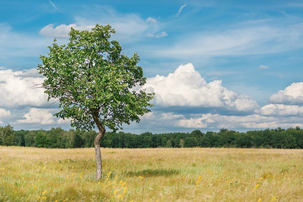 Photograph by Владимир Салапонов