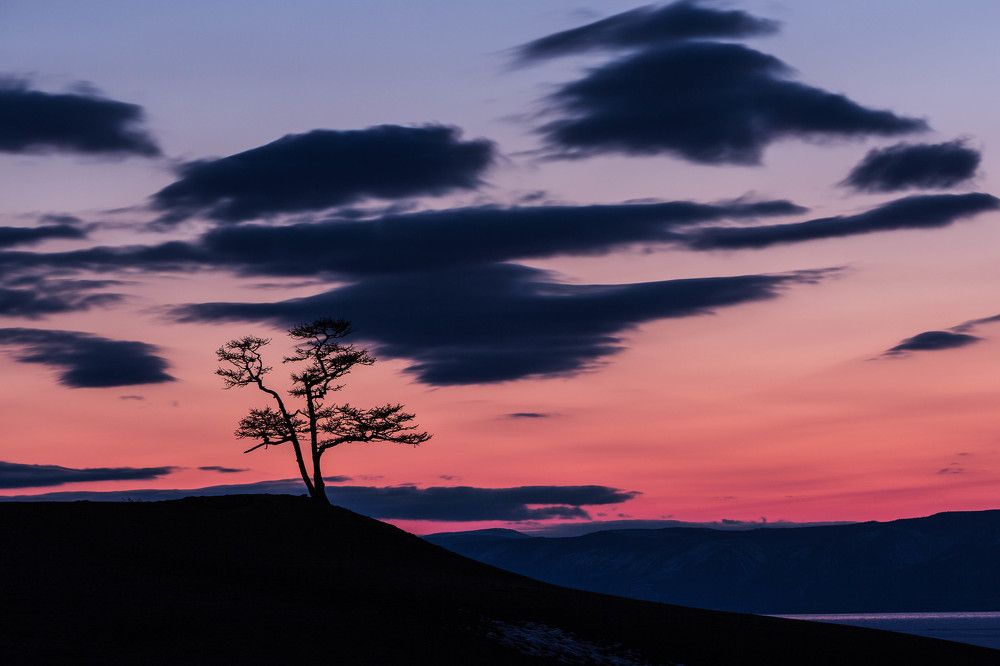 Photograph by Марина Маликова