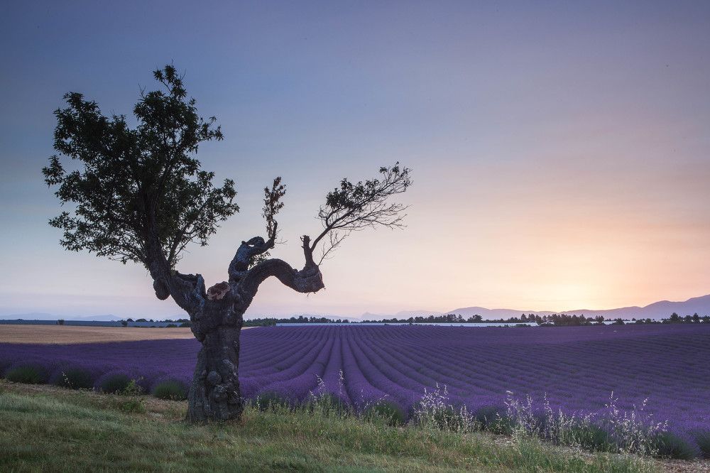 Photograph by Марина Маликова