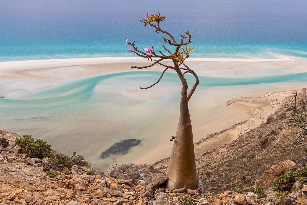 Photograph by Марина Маликова