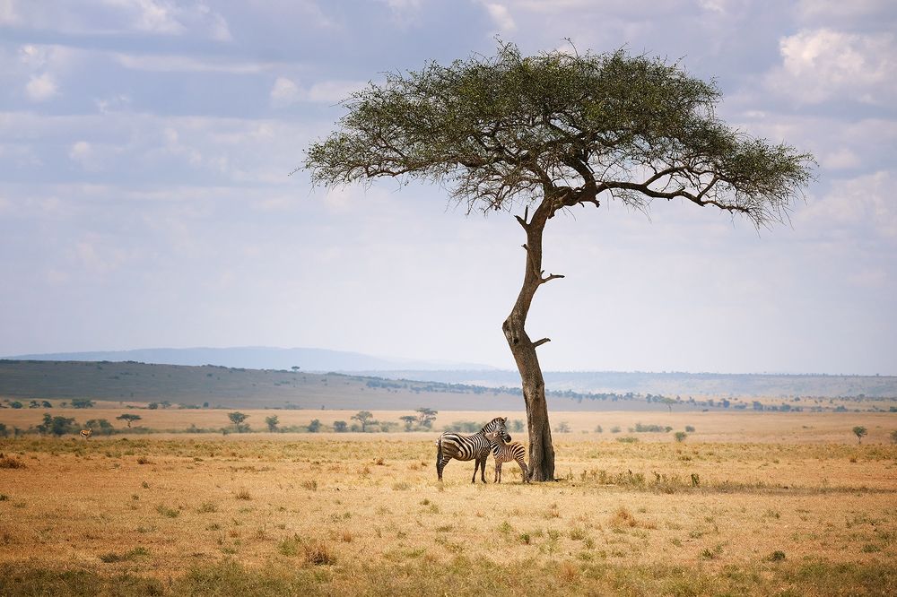 Photograph by Ирина Худзинская