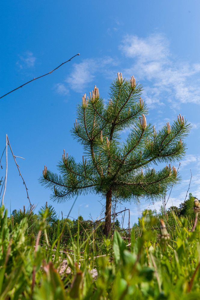 Фотография автора Виталий Дузь