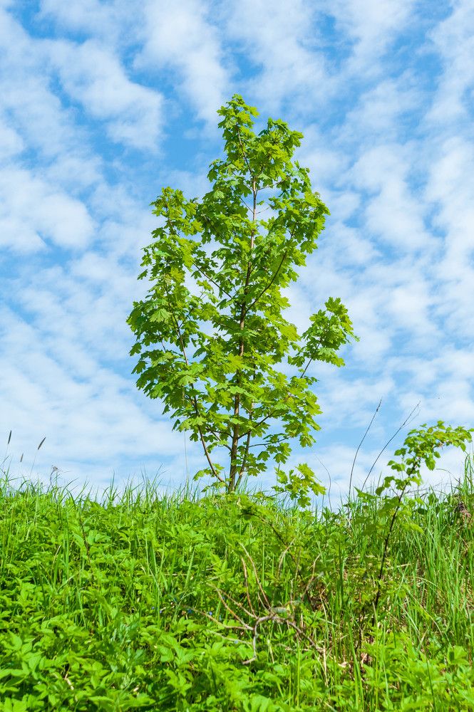 Фотография автора Виталий Дузь