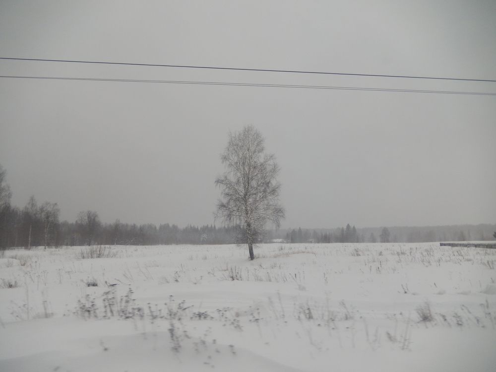 Фотография автора Клавдия Васильева