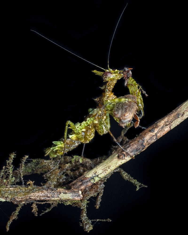 Photograph by Manjunath S