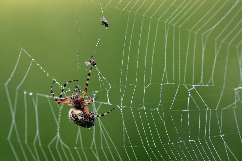 Photograph by Наталия Шинкевич