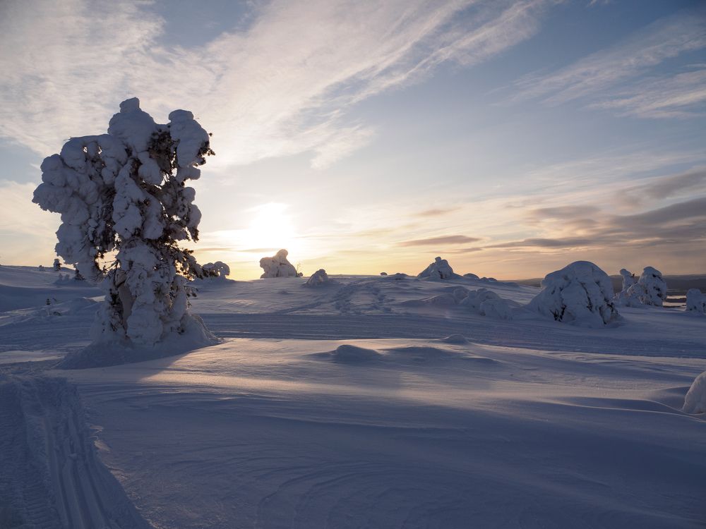 Photograph by Шейко Анна
