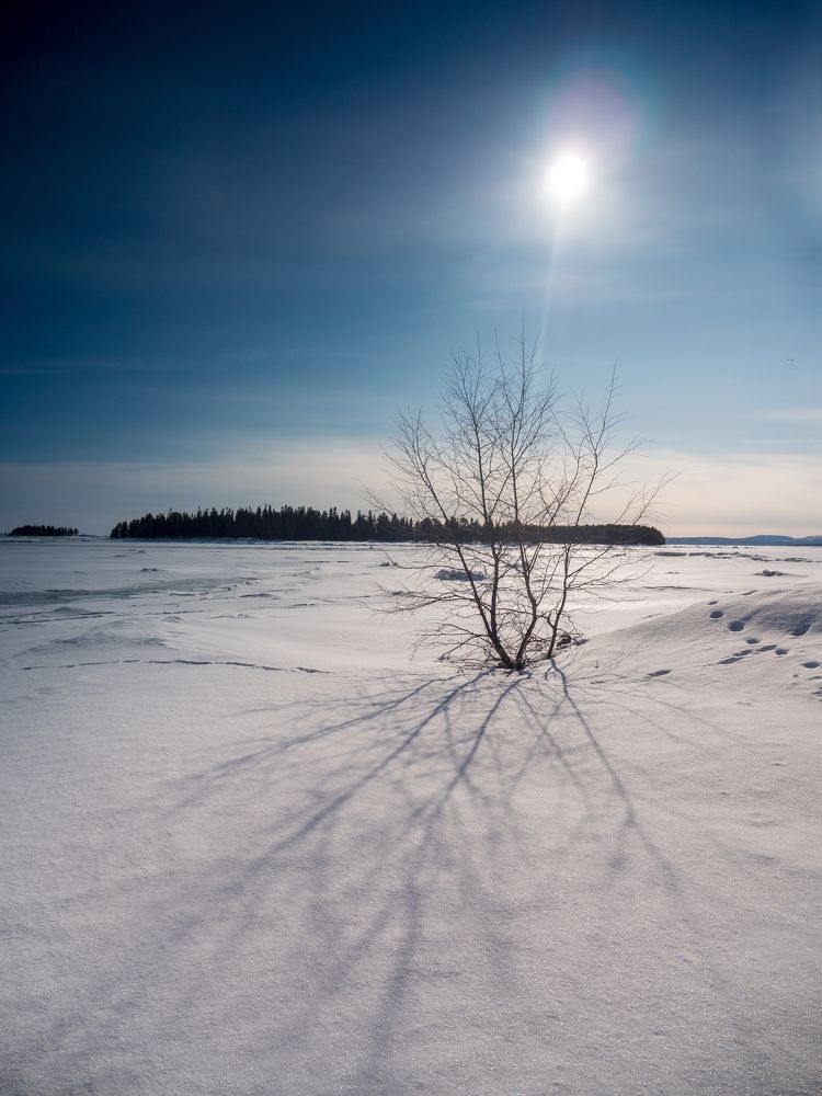 Photograph by Шейко Анна