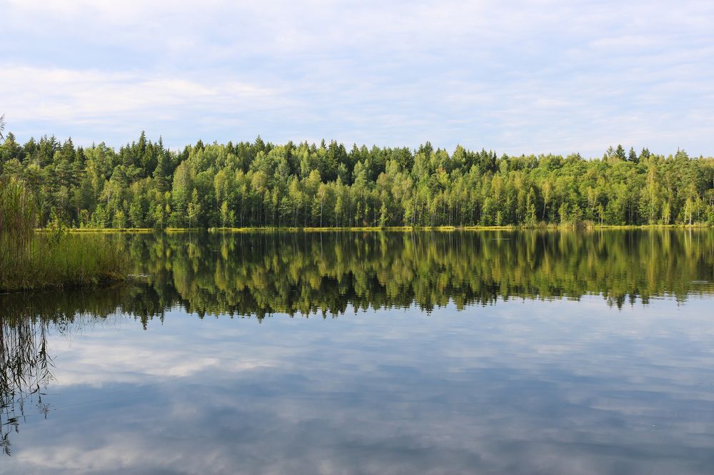 Photograph by Наталья Клячина