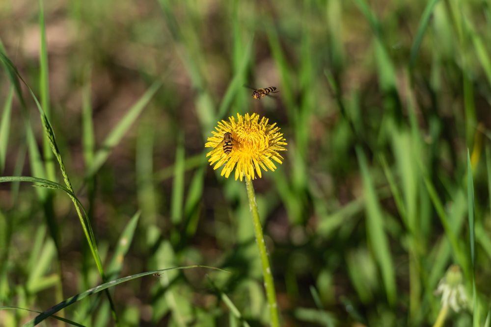 Photograph by Алексей