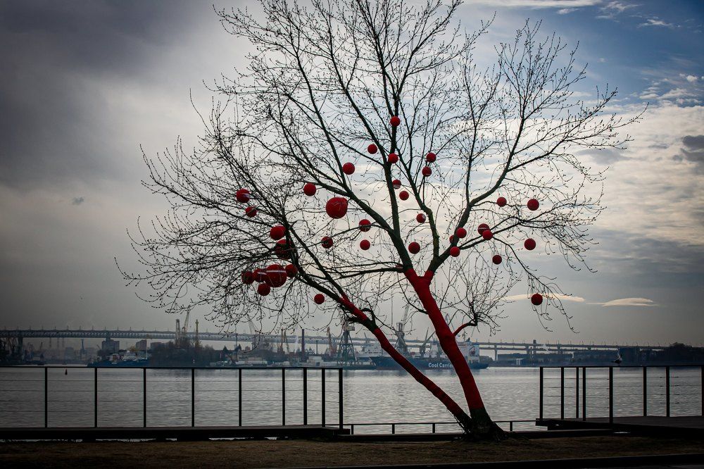Photograph by Очева Наталья Александровна