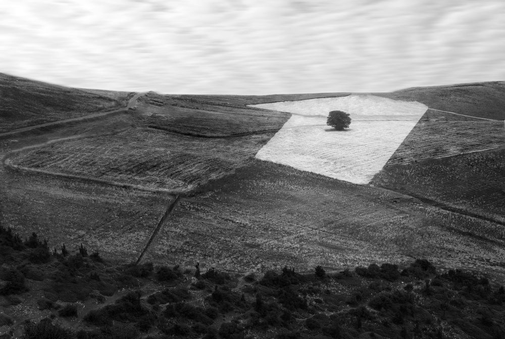 Photograph by Artin darvishi