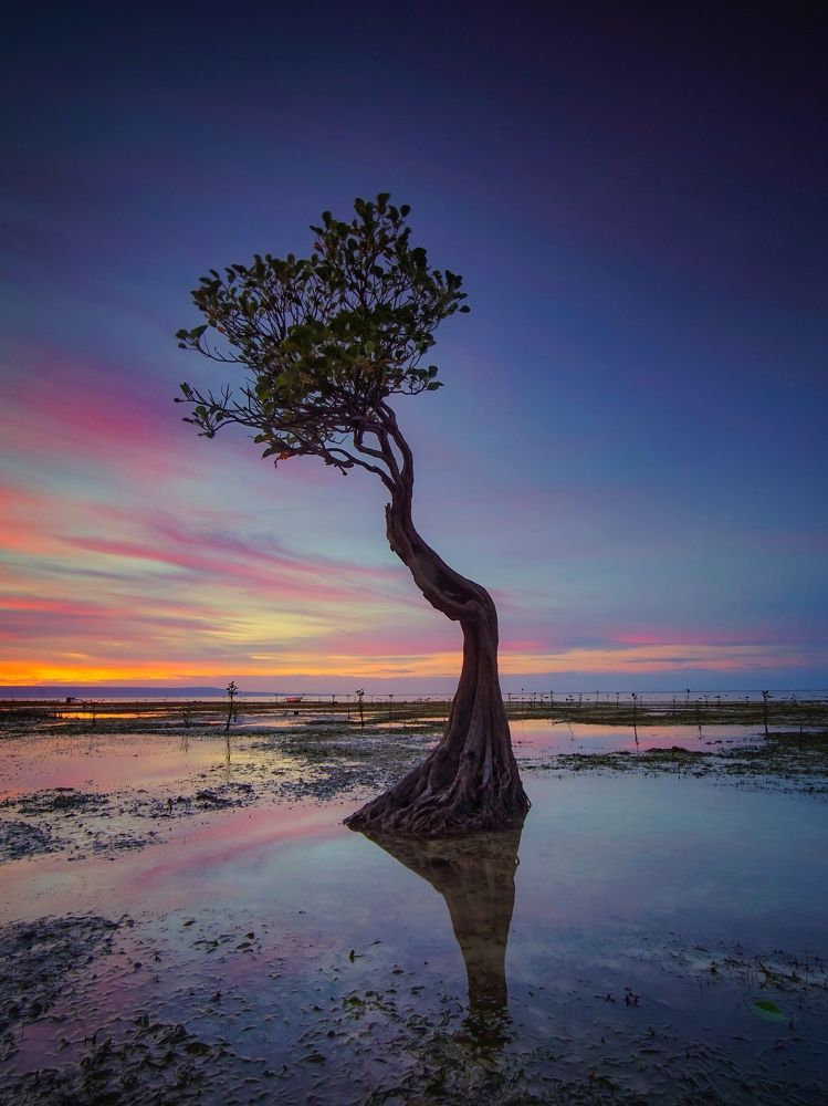 Photograph by Henri Fitriadi