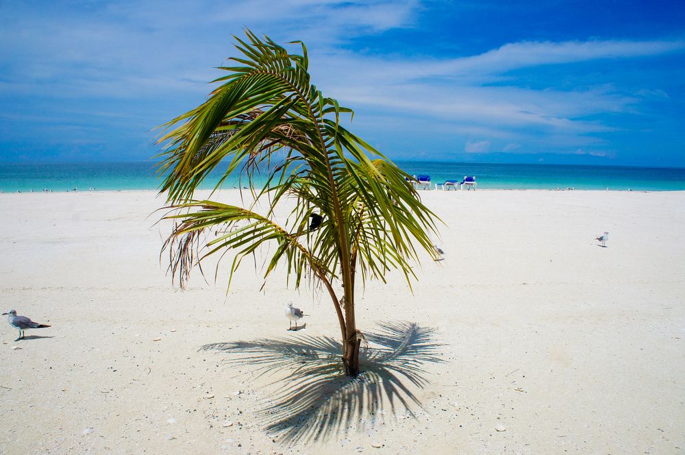 Фотография автора Ксения