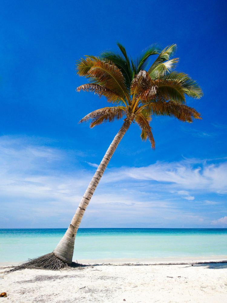 Фотография автора Ксения