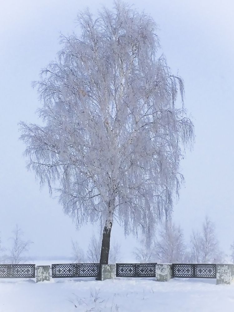 Photograph by Ирина Александрович