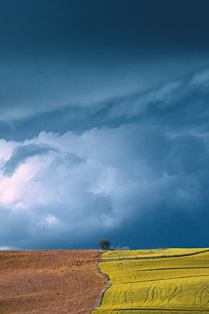 Photograph by Samir Meftah