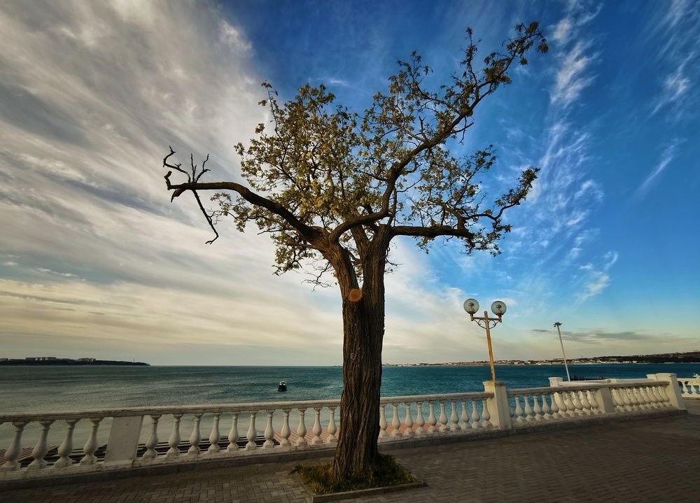 Photograph by Михаил Саидов