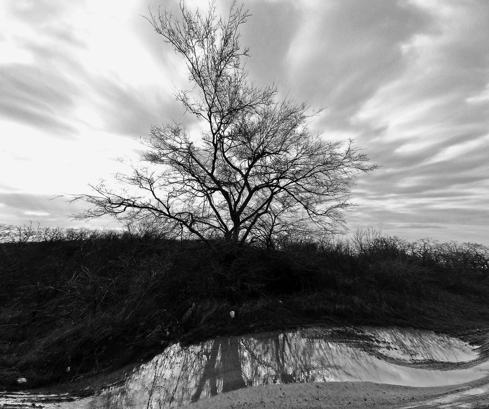 Фотография автора Сергей Гречихин