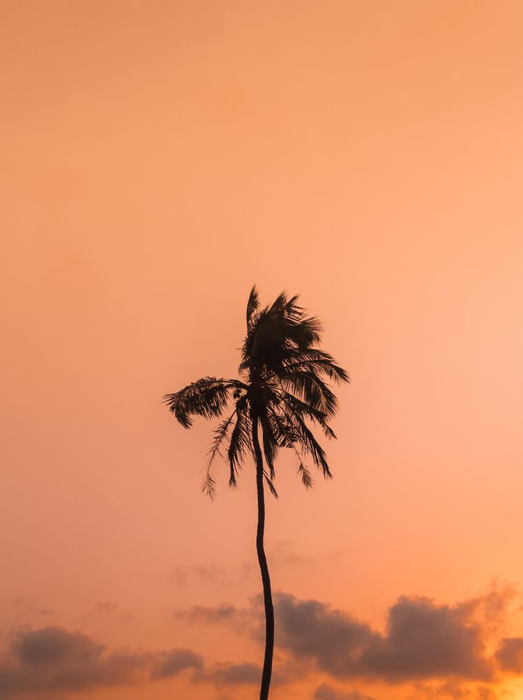 Photograph by Dhruv Mistry