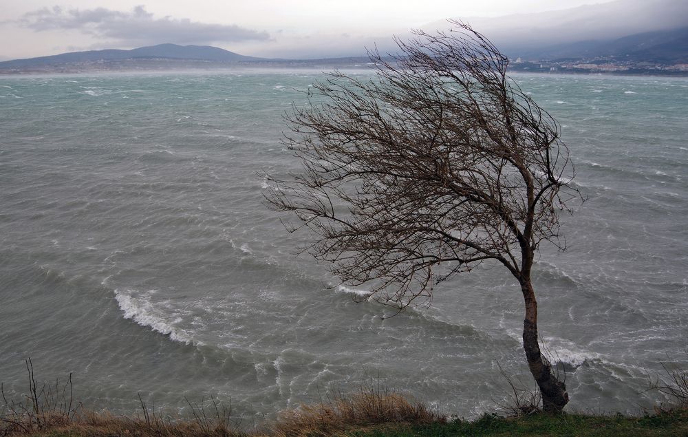 Фотография автора Сергей Гречихин