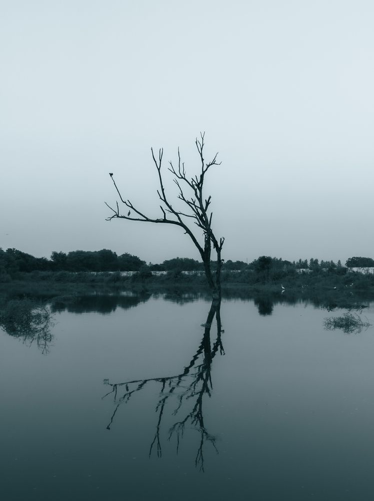 Photograph by Dhruv Mistry