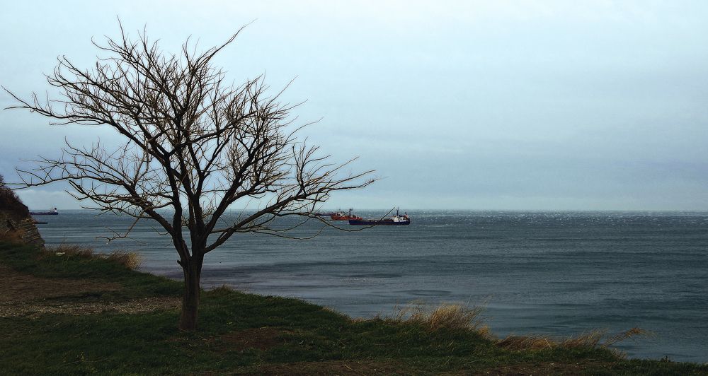 Фотография автора Сергей Гречихин