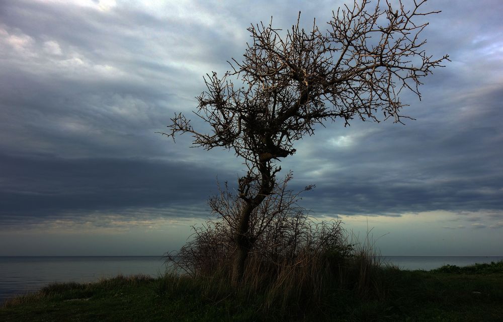 Фотография автора Сергей Гречихин