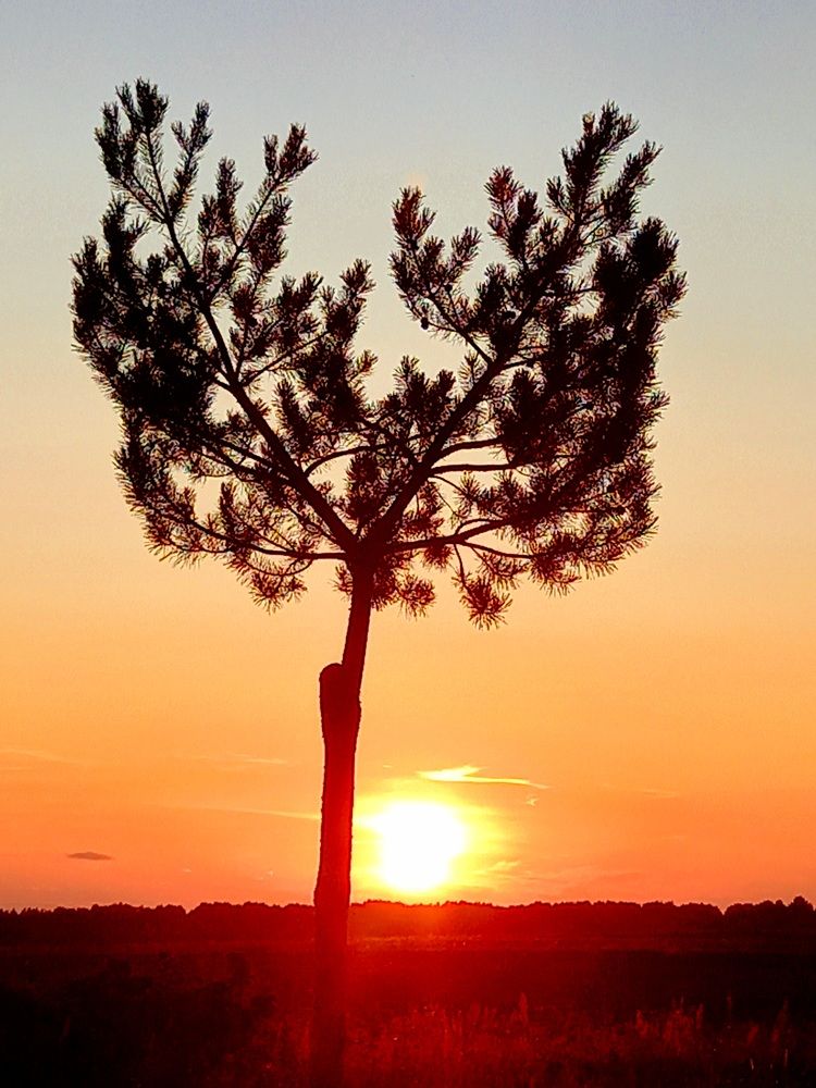 Photograph by Ольга Юрченко