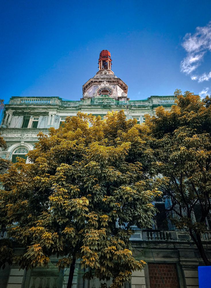 Фотография автора Walfrido Alexandre