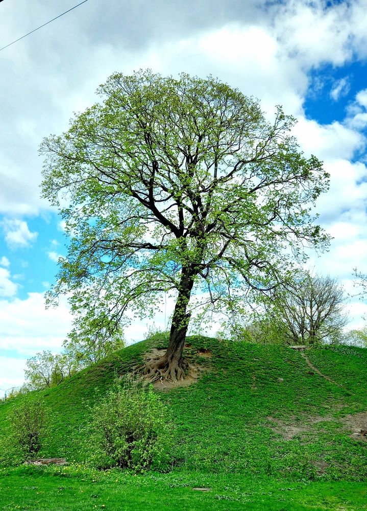 Photograph by Ольга Юрченко