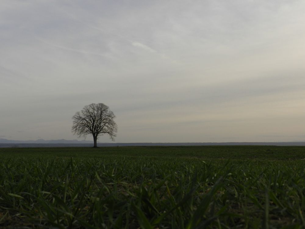 Photograph by Elia