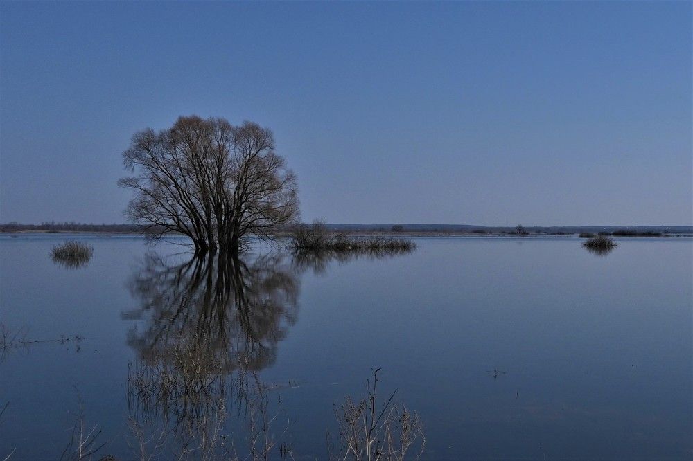 Фотография автора IRINA FILIPPOVA