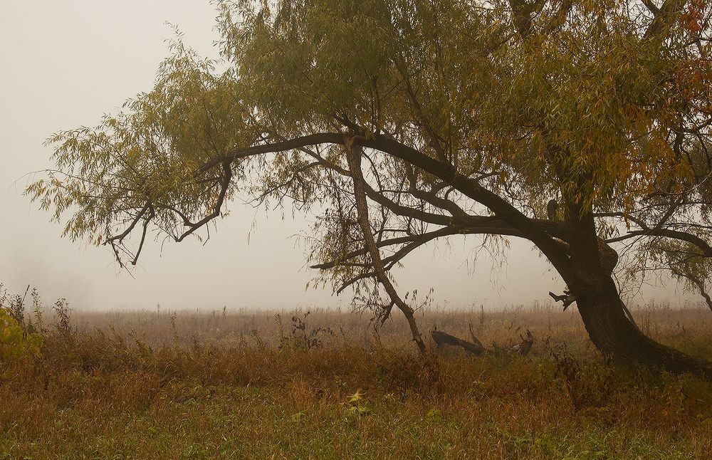 Photograph by Алексей Патлах