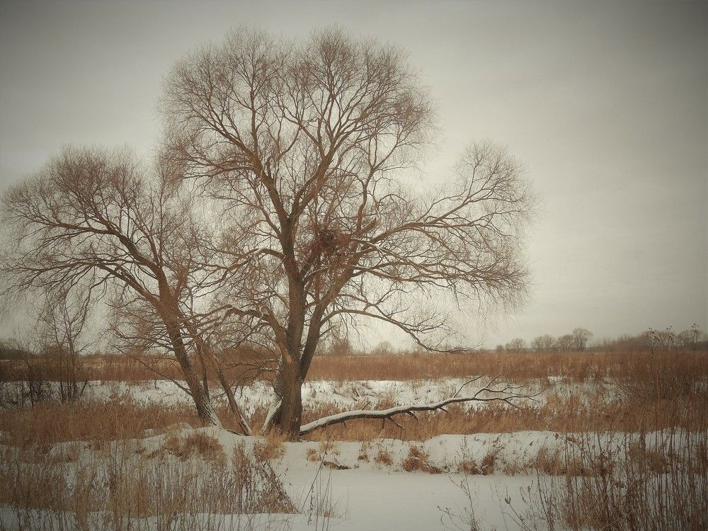 Фотография автора IRINA FILIPPOVA