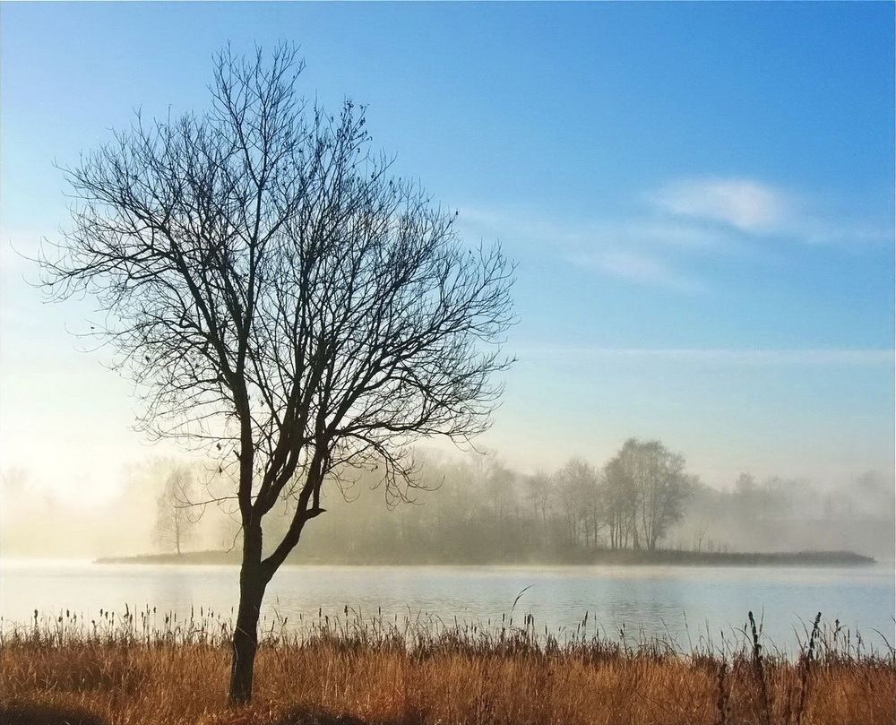 Photograph by Игорь Меньшенин