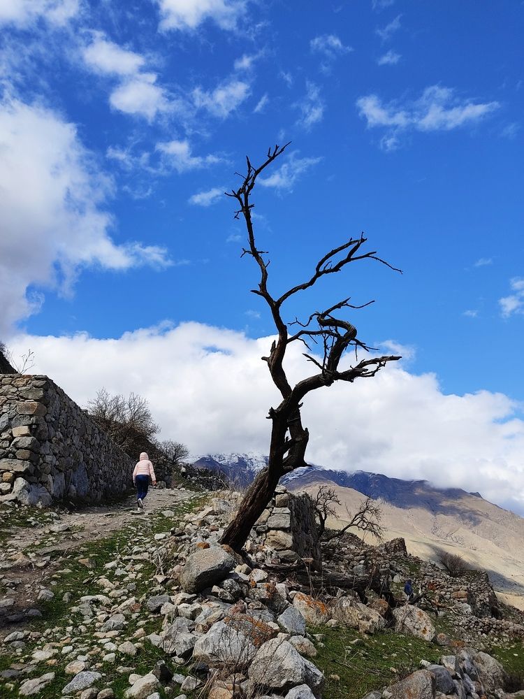 Photograph by Александра