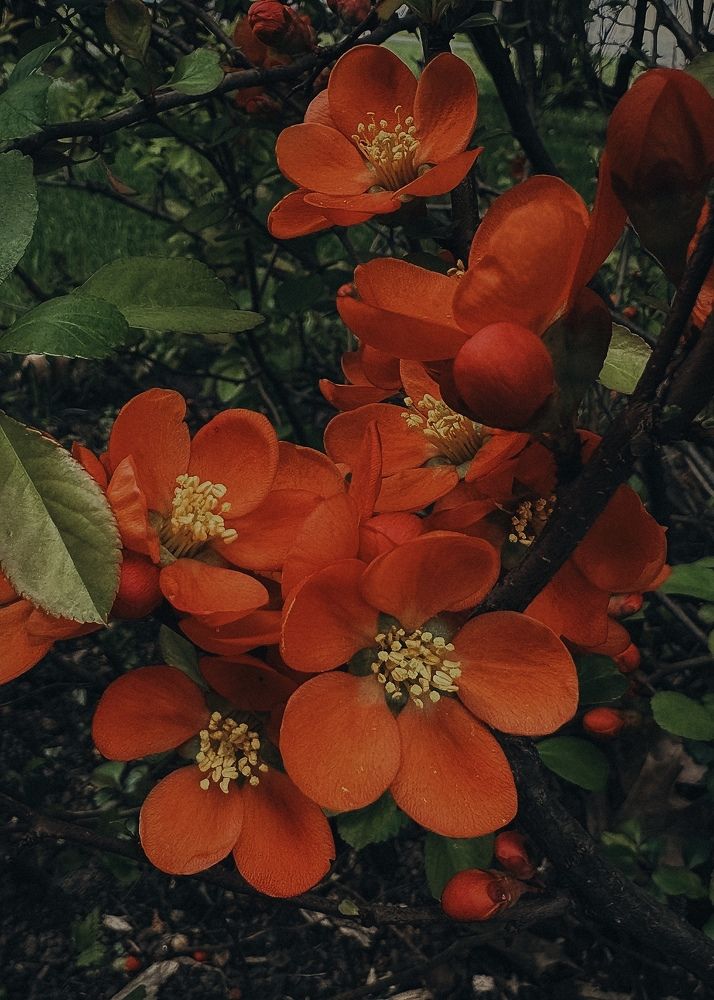 Фотография автора Юлия Косинова