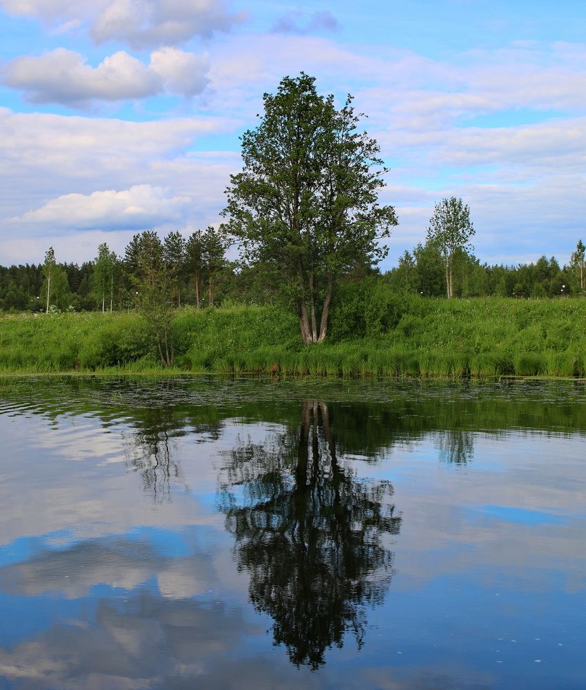Фотография автора АЛЕКСАНДР ЦЫГЕЛЬНЮК
