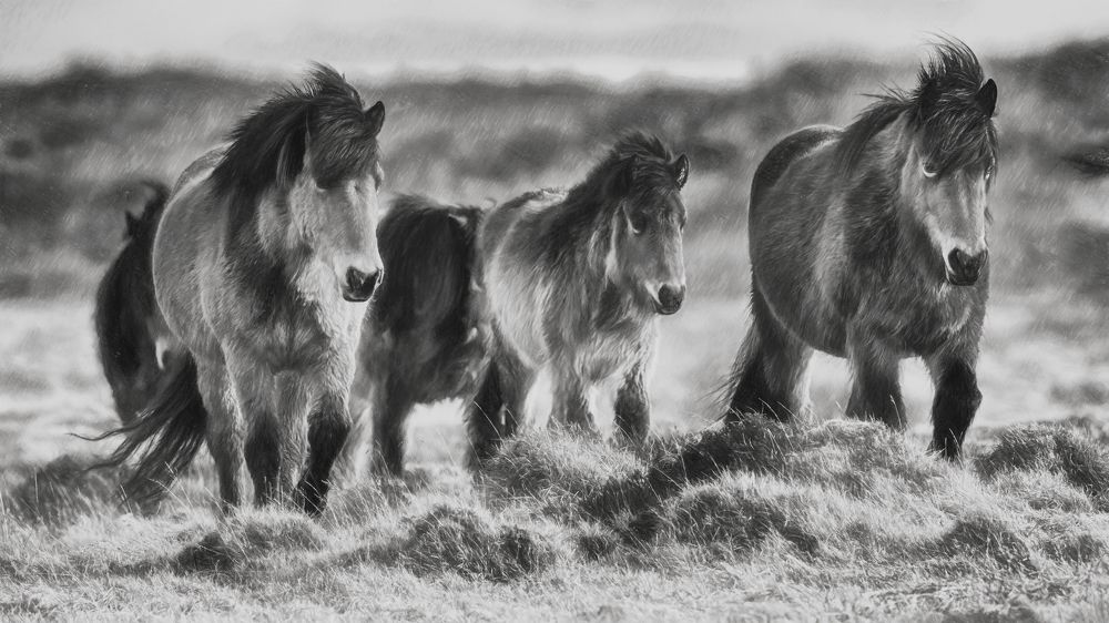 Photograph by Шварцман Евгений